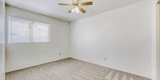 Newly painted and new carpet! Gallery 17