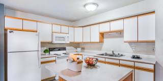 Rocky Meadows Gallery 2