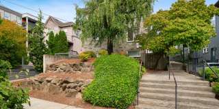 Birch Apartments Gallery 1