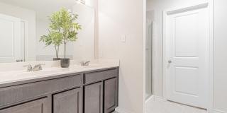 7019 CAPELLA CV Gallery 18