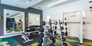 Altura at the Groves Gallery 22