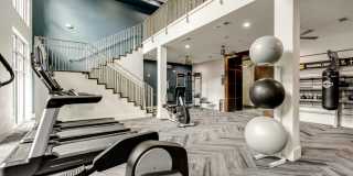 Cortland Galleria Gallery 14