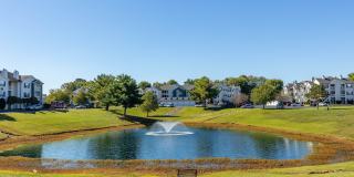 Adler Apartment Homes Gallery 30