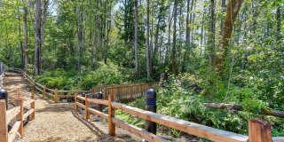 Avaya Ridge Gallery 33