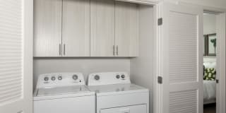 Harvest in Tracy Gallery 10