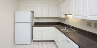 Chestnut Hill East Gallery 15