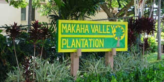 84-718 Ala Mahiku Street Gallery 1