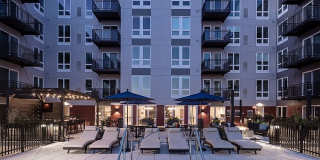 Ellison Apartments Gallery 16