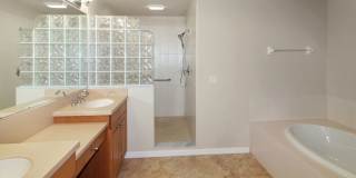 San Lino Annual Condo for Rent San Lino Annual Condo for Rent Gallery 16