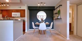 TGM Springbrook Gallery 5