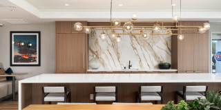 One Adrian Gallery 8