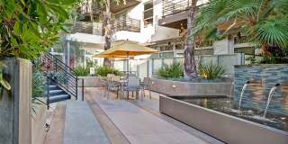 Fiona Gallery 5