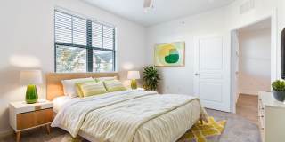 Talcott at Windermere Gallery 14