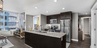 Pinnacle on the Park Gallery 4