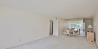 Fantastic 2br/2ba Condo in 55+ Community in On Top Of The World, Clearwater ! Gallery 15