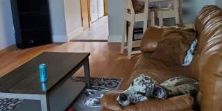 Charming 2BD, 1BA Wheat Ridge Duplex with 1-Car Garage Gallery 5