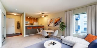 TraVigne on Eleventh Avenue Gallery 2