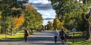 The Buckley Gallery 40