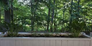 319 Silverberry Ct Gallery 11