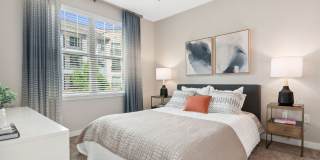 Axis Berewick Gallery 9