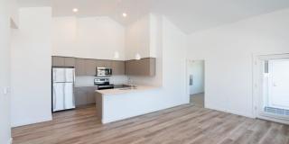 Red Hawk and Laurel Grey Gallery 11