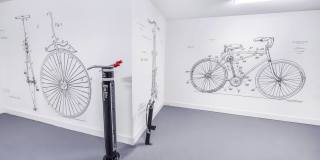 Constellation Park Gallery 54