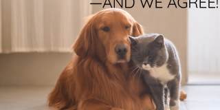 Wilson1518 (CWP) Gallery 1