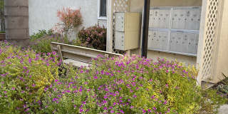 Carlsbad Sunset - Senior Housing Gallery 12