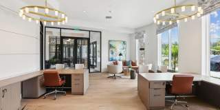 The Harlow Gallery 19