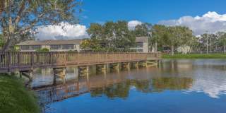 Solana Vista Gallery 20