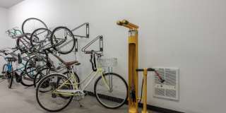 Pinnex Gallery 16