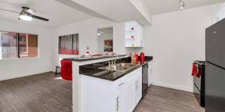 Urban Walk Gallery 2