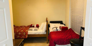 Living the Life! Gallery 11