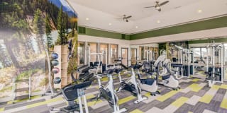 Champions Apartments Gallery 10