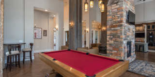 Red Knot at Edinburgh Gallery 29