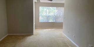 Venetian Place - 1323 Gallery 3