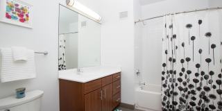 LPM Apartments Gallery 14