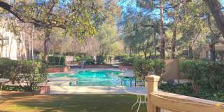 Plenty of Light in an Urban Oasis Gallery 10
