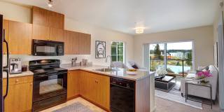 Redmond Square Gallery 36