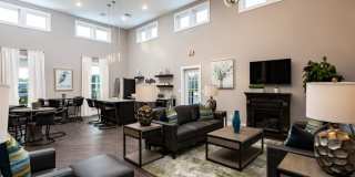 The Westport Gallery 14