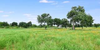 106 Bridalwood Court Gallery 20
