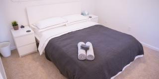 Fully Furnished Ranch Home in Birmingham, MI w/ All Utilities Included Gallery 19