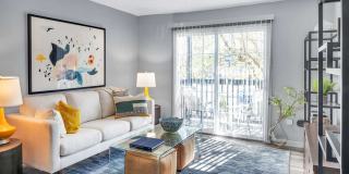 Station J-Town Apartments Gallery 1