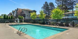 Maplewood Park Gallery 20