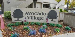 3650 Avocado Village Court Gallery 21