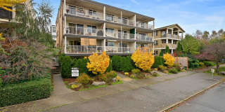 2020 Lake Union Gallery 11