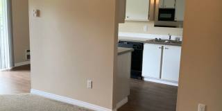 Cherry Apartments Gallery 28