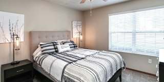 Tiburon View Gallery 11