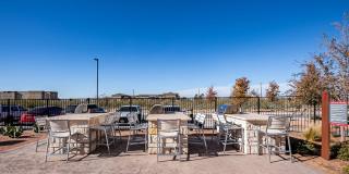 FLATZ 432 Gallery 21