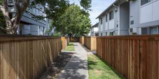 Driftwood Apartments Gallery 23